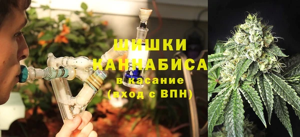 mdpv Заводоуковск