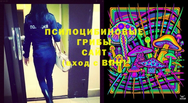 альфа пвп Заволжск