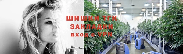 mdpv Заводоуковск