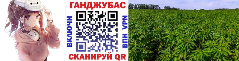 как найти наркотики  Калачинск  Каннабис VHQ 